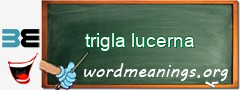 WordMeaning blackboard for trigla lucerna
